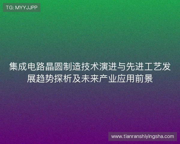 集成电路晶圆制造技术演进与先进工艺发展趋势探析及未来产业应用前景